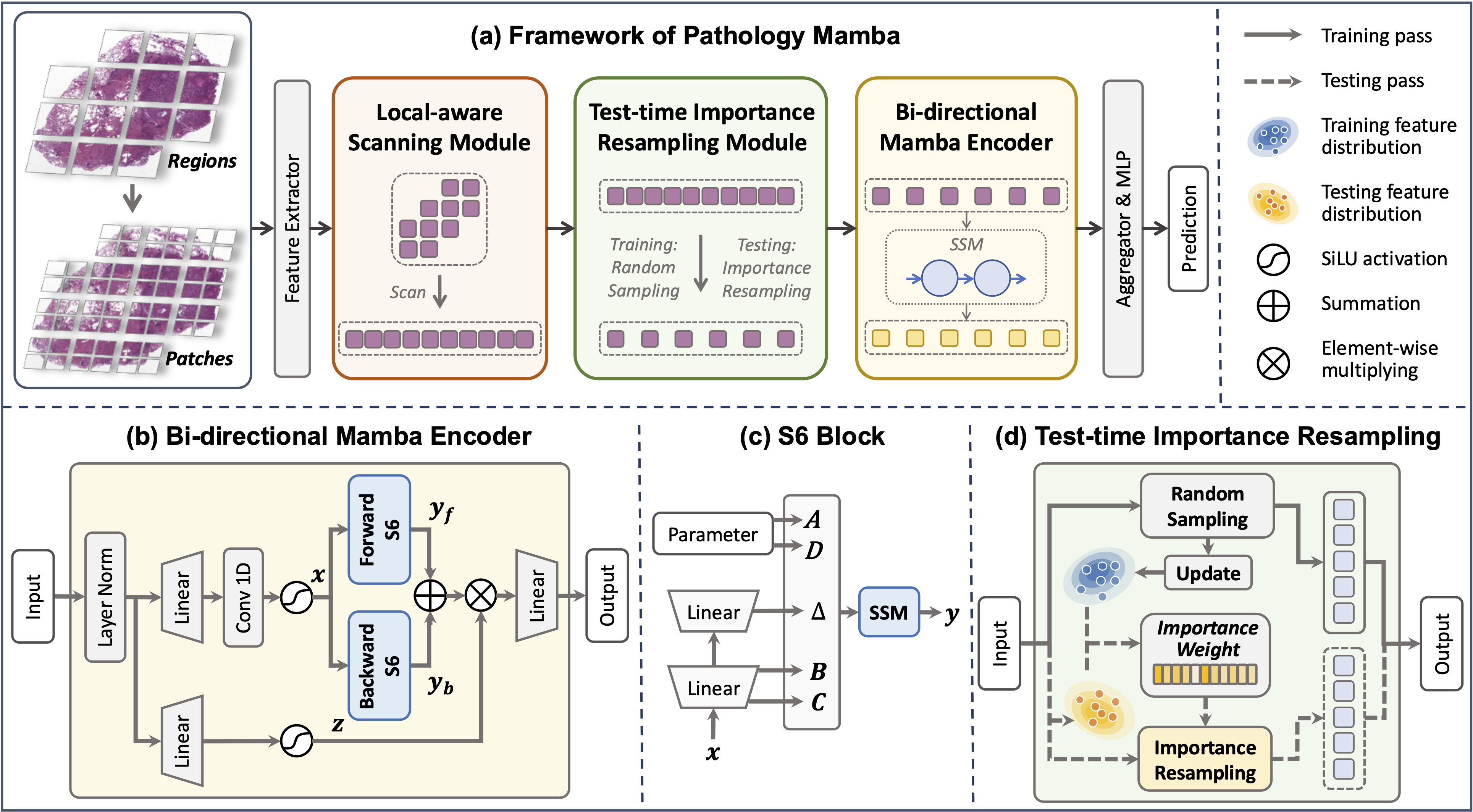 Unleash the Power of State Space Model for Whole Slide Image With Local Aware Scanning and Importance Resampling